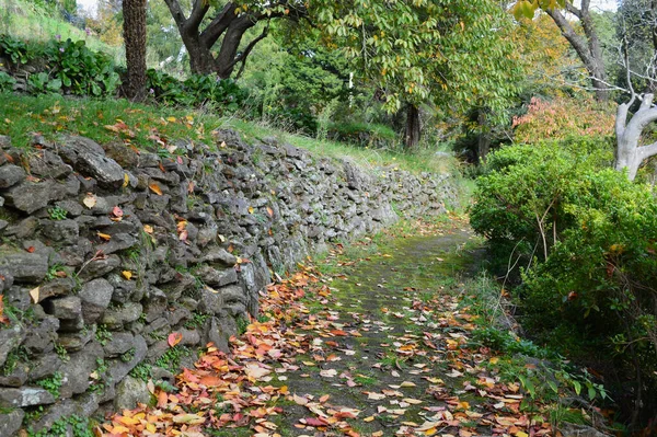 Carril País Durante Otoño — Foto de Stock