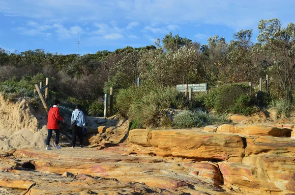 Люди Які Насолоджуються Пляжним Треком Конгвонг Поблизу Періс Сідней Австралія — стокове фото