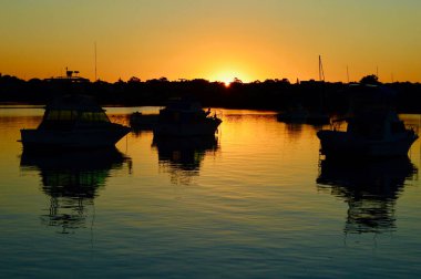 Sakin bir akşamda Sydney Limanı 'nın Leichhardt manzarası