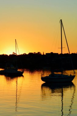 Sakin bir akşamda Sydney Limanı 'nın Leichhardt manzarası