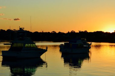 Sakin bir akşamda Sydney Limanı 'nın Leichhardt manzarası