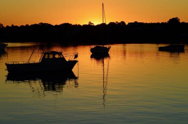 Sakin bir akşamda Sydney Limanı 'nın Leichhardt manzarası