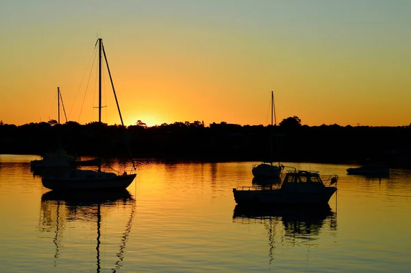 Utsikt Över Sydney Harbor Leichhardt Lugn Kväll — Stockfoto