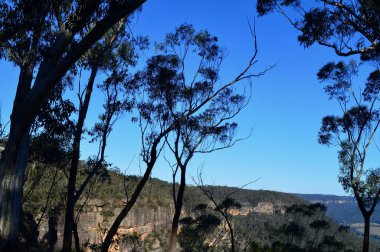Avustralya 'nın Mavi Dağları' ndan Mitchell Geçidi 'nin manzarası