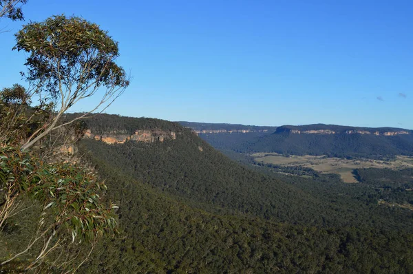 Blick Vom Mitchell Pass Lookout Den Blue Mountains Australien — Stockfoto
