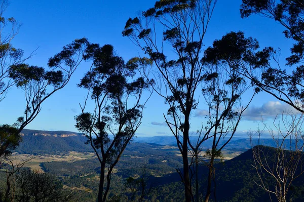 Utsikt Från Mitchell Pass Lookout Blue Mountains Australia — Stockfoto