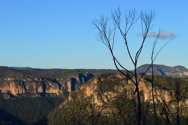View Grose Valley Mount Victoria Blue Mountains Australia — Stock Photo, Image