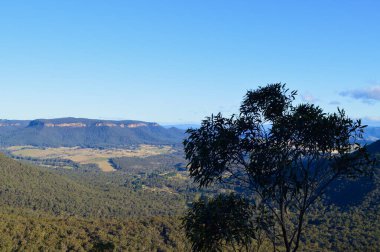 Avustralya 'nın Mavi Dağları' ndaki Victoria Dağı 'ndan Mitchell Geçidi' nin manzarası.