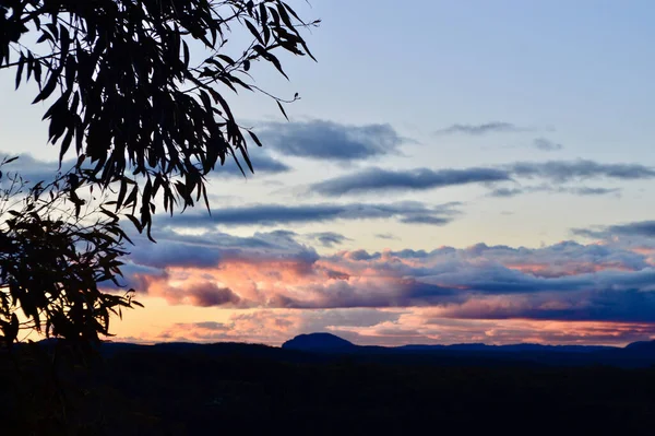 Zonsondergang Door Bomen Bij Bullaburra Blue Mountains Van Australië — Stockfoto