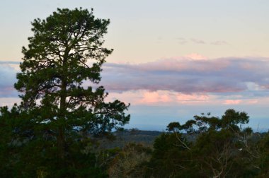 Avustralya 'nın Mavi Dağları' ndaki Hazelbrook 'ta gün batımı