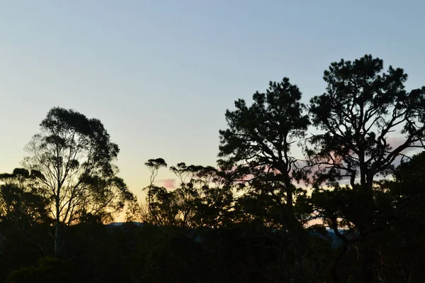 Solnedgång Vid Hazelbrook Blå Bergen Australien — Stockfoto