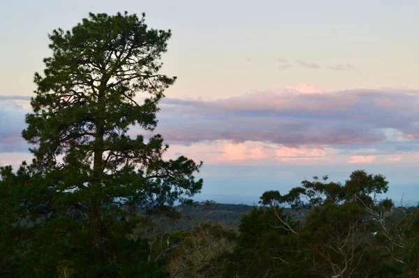 Zonsondergang Bij Hazelbrook Blue Mountains Van Australië — Stockfoto