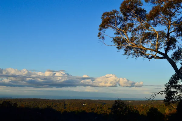 Взгляд Лоусона Голубых Гор Австралии — стоковое фото