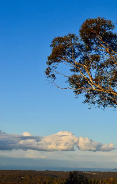 Pohled Lawsonu Modrých Horách Austrálie — Stock fotografie