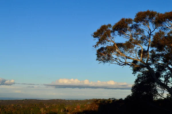 Uma Vista Lawson Nas Montanhas Azuis Austrália — Fotografia de Stock