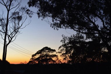 Avustralya 'nın Mavi Dağlarında gün doğumu