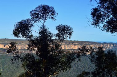 Avustralya 'nın Mavi Dağları' ndaki Yüksek Noktalı Gözcü Manzarası