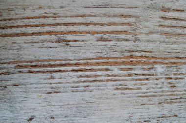 arka plan olarak ahşap tahta doku.