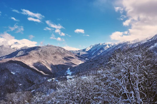 Зима Горы Покрытые Деревьями Заснеженными Вершинами Против Голубого Неба Облаками — стоковое фото