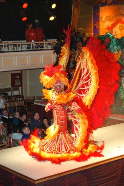 rio de janeiro çılgın karnaval