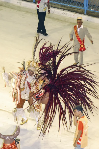 Galen karneval i rio de janeiro — Stockfoto