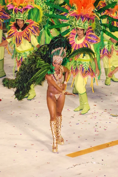 Gek carnaval in rio de janeiro — Stockfoto