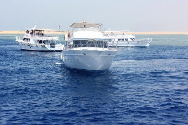 Denizdeki yatlar.