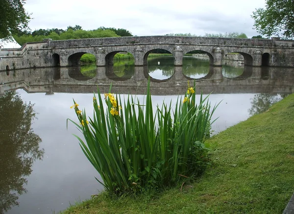 Brug over het meer — Stockfoto