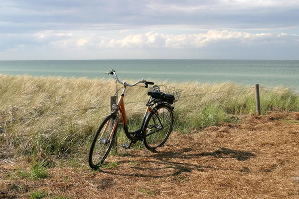 Summer bike ride — Stock Photo, Image