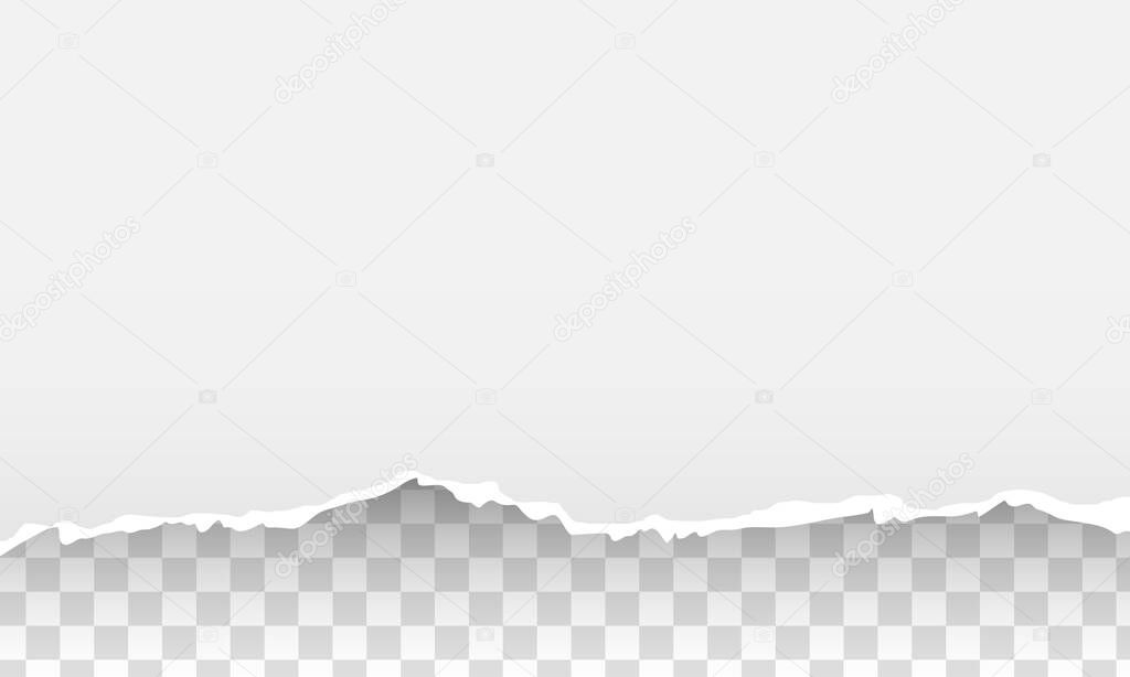 Gray ripped torn paper transparent background