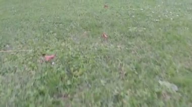 manzara ile stok video görüntüleri uçuş