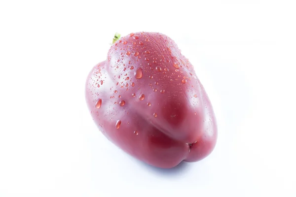 Rødt pepper – stockfoto