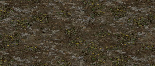Ziemia Jałowa Tekstury Zielonych Roślin Rosną Pękniętej Suchej Ziemi Kamieni — Zdjęcie stockowe