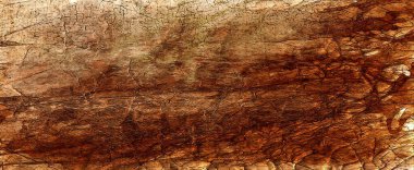 Eski kahverengi kağıt parşömen arka plan tasarımı. Üzüntülü vintage lekeler, mürekkep lekeleri ve solmuş eski püskü bir merkez. Zarif antika bej rengi.