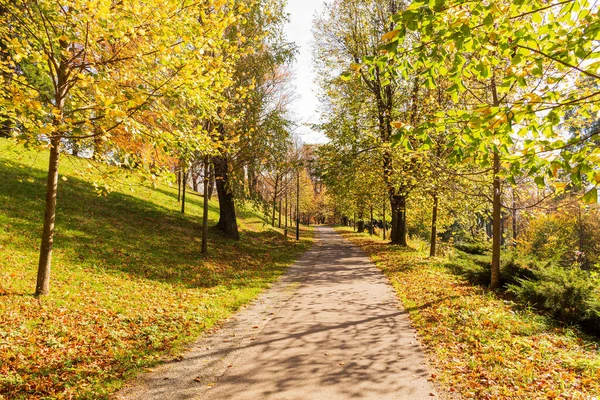 Goldener Herbst Stadtpark Einem Strahlend Sonnigen Tag — Stockfoto