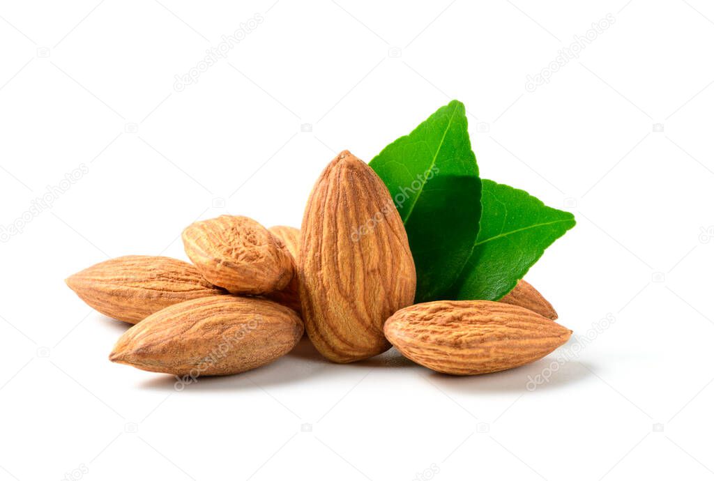 Almonds nut with leaves isolated on white background. They are highly nutritious and rich in healthy fats or High-density lipoprotein (HDL) cholesterol, antioxidants, vitamins and minerals.