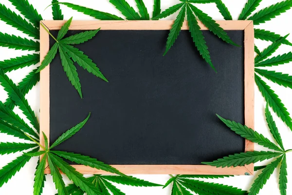 Empty blackbroad with Cannabis leaves on white background, leaves of the cannabis plant are rich antioxidants, polyphenols and antibiotics, along with cancer-reducing and anti-inflammatory compounds.