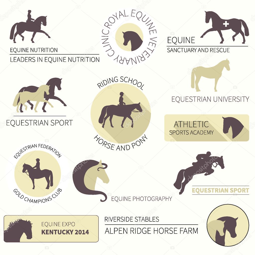 Set of vector icons with horse equipment