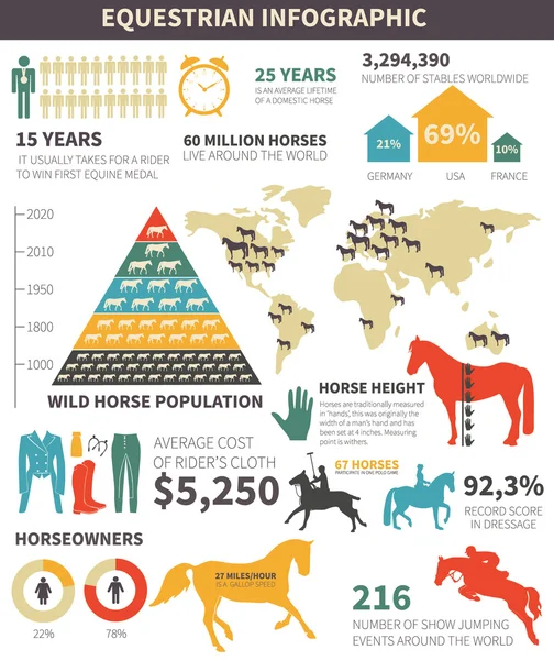 Equestrian infographic — Stock Vector