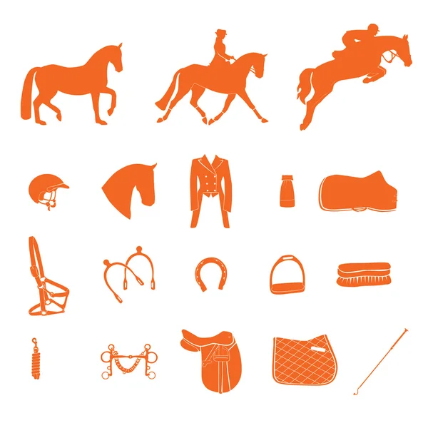 Набор отличных высококачественных лошадиных этикеток для различных конных видов спорта — стоковый вектор