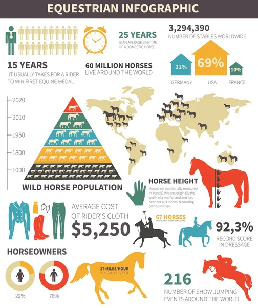 Infografica equestre — Vettoriale Stock