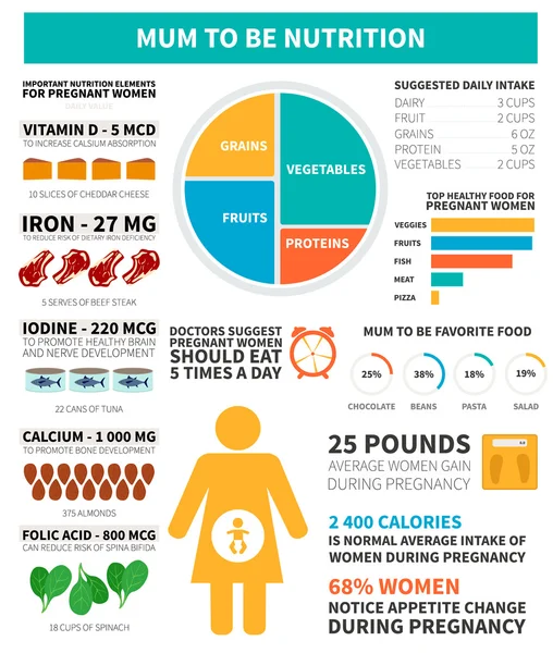 Infografía nutricional del embarazo — Archivo Imágenes Vectoriales