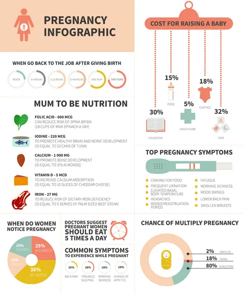 Nutrição da gravidez infográfico —  Vetores de Stock