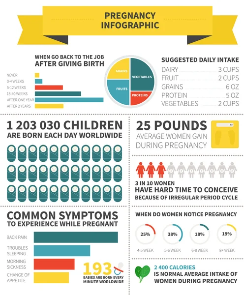 Infografica nutrizione gravidanza — Vettoriale Stock