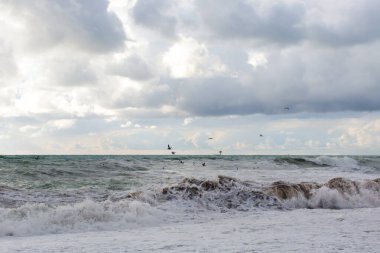 Kuşlar denizde büyük dalgaların üzerinde uçar.