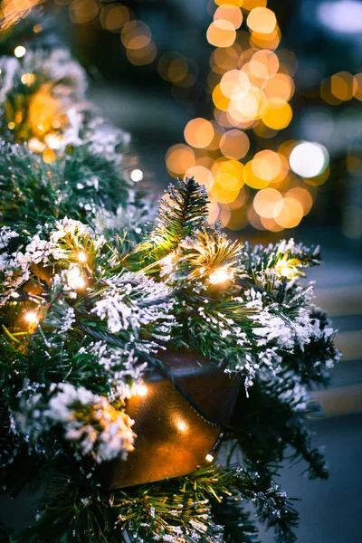 Елочка Новый Год Рождественские Ветви Снегу — стоковое фото