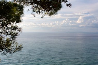 Ağaçların arasından açık deniz manzarası