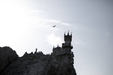 Bir kuş eski bir kalenin üzerinden uçar.