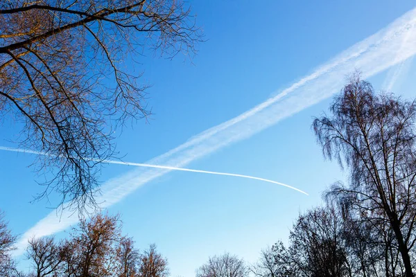 Twee Sporen Van Vliegtuigen Lucht Door Bomen — Stockfoto