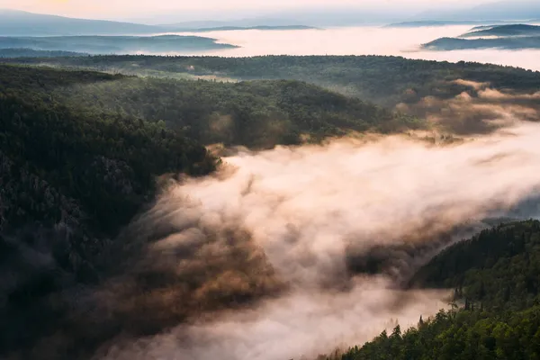 日の出の山の中で霧 夜明けに山の中で朝の霧 山の中の雲 雨の後の朝の霧 夜明けに山 ミルク川だ スペースのコピー — ストック写真